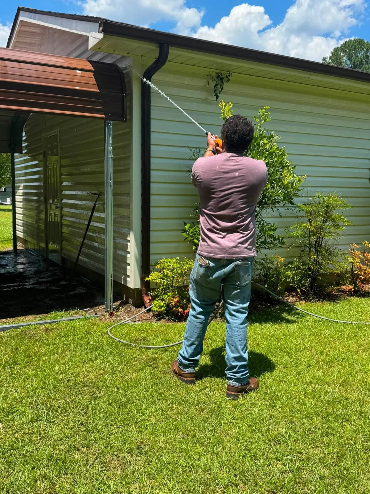 Soft washing green algae off cream vinyl siding on a Jacksonville NC home